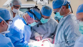 l órgano puede ser afectado por traumatismo, cáncer y otros problemas