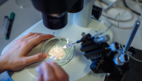 "No habrá más bebés modificados genéticamente. No habrá más embarazos", recalcó el investigador.