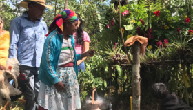 La discriminación, principal barrera de acceso a la Justicia de los indígenas en Honduras