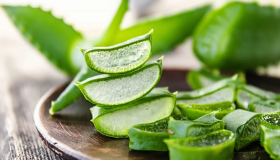 La planta que ayuda a curar el acné, hidrata profundamente la piel y favorece la cicatrización de heridas