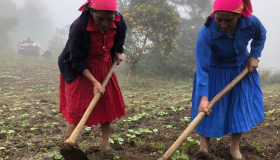 Honduras reduce en 10% la inseguridad alimentaria, según Gobierno