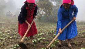 Mujeres indígenas víctimas de amenazas, extorsión y violencia doméstica: CONADEH 