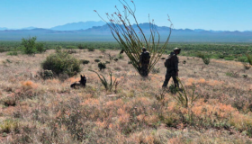 El número de hondureños desaparecidos en la ruta migratoria asciende a 600 