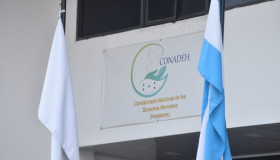 Urgen mecanismos para prevenir la trata y la explotación sexual comercial en flujos migratorios: CONADEH 