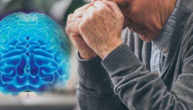 La incidencia mundial de demencia podría alcanzar los 24,7 millones en 2050 