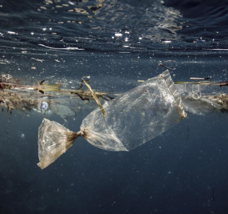 Desarrollan un plástico que se descompone en el agua del mar para reducir la contaminación 