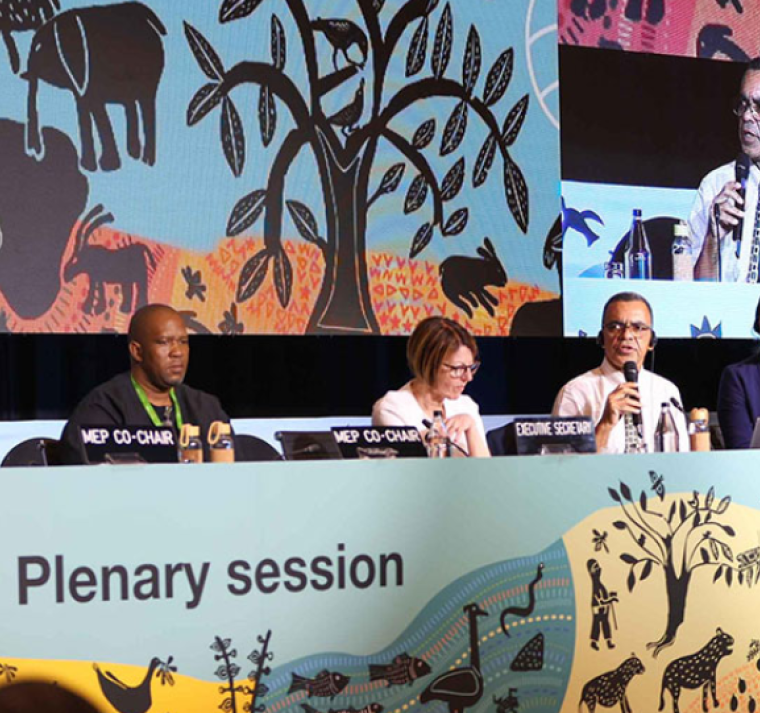 Científicos piden un cambio transformador urgente para salvar biodiversidad en la Tierra 