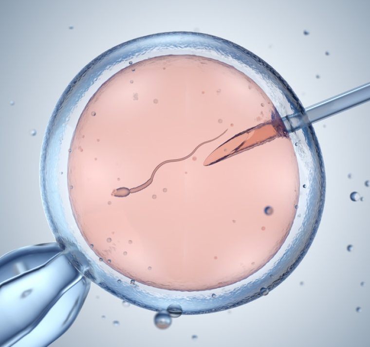 Nace en Perú el primer bebé del mundo con un nuevo tipo de fecundación 'in vitro'