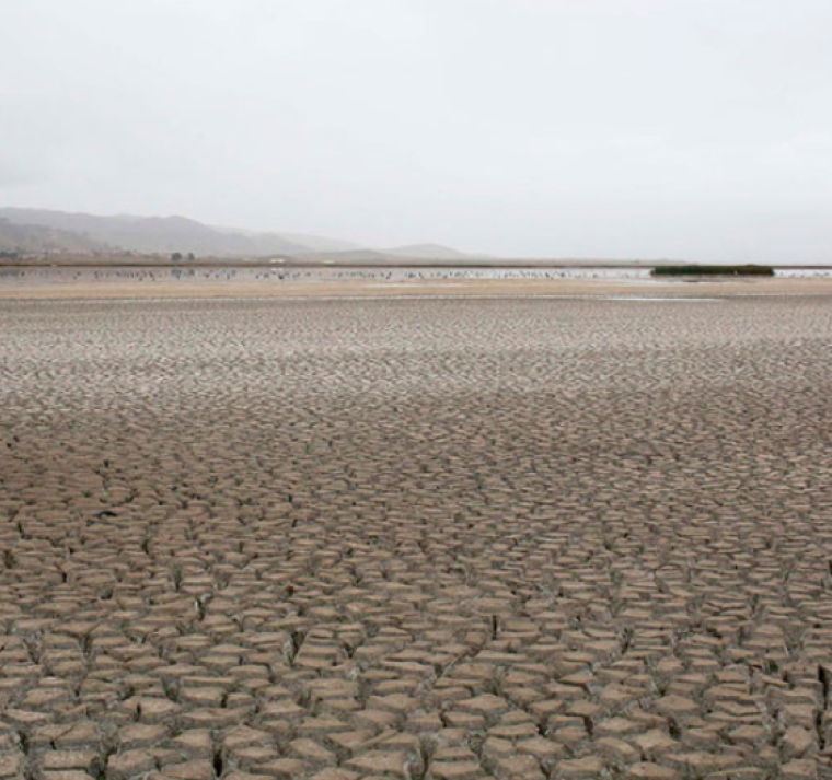 La creciente demanda de humedad de la atmósfera ha intensificado las sequías en un 40% en los últimos 40 años 