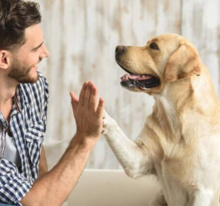¿Las Mascotas nos hacen más Felices? 