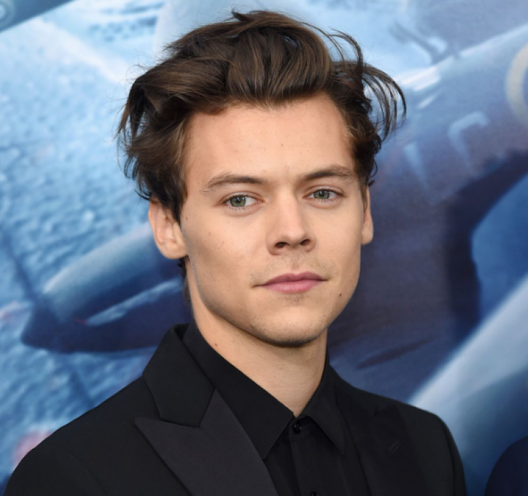 ¿Regreso o retirada? Harry Styles publica ‘Forever, Forever’ 