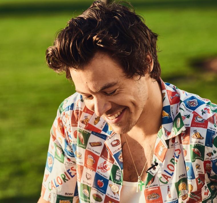 Harry Styles apuesta por una historia envolvente en su nuevo videoclip 