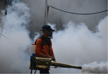 Honduras acumula 72 mil contagios de dengue y más de 100 muertes