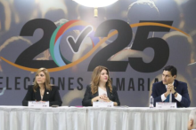 CNE hace oficial la Inscripción de 10 precandidatos presidenciables 