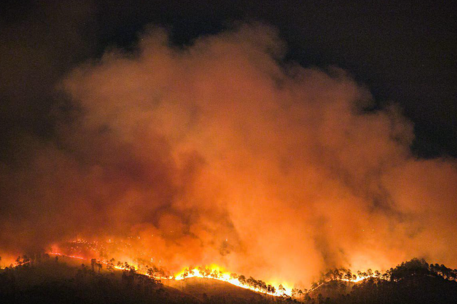Alrededor de 39.000 hectáreas de bosques han sido afectadas por 839 incendios en Honduras