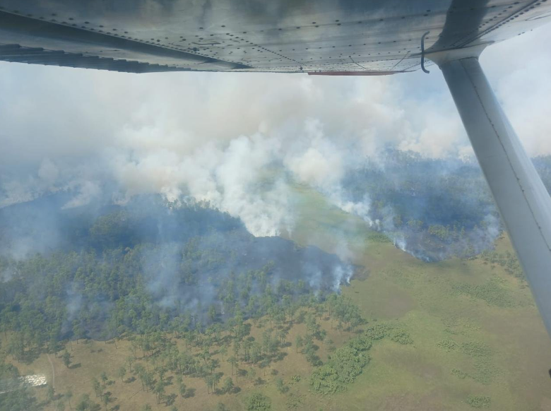 Incendio en Biósfera del Río Plátano ya está controlado